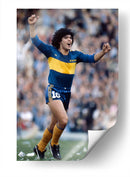 Maradona celebrando en el campo | Cuadro decorativo de Canvas Lab
