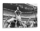 Maradona, Campeón del mundo | Cuadro decorativo de Canvas Lab