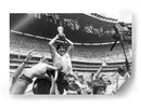 Maradona, Campeón del mundo | Cuadro decorativo de Canvas Lab