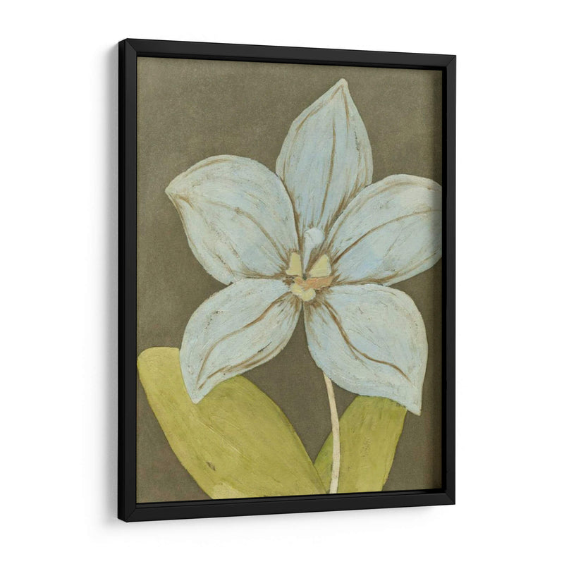 Orquídea Y Tierra Ii - Megan Meagher | Cuadro decorativo de Canvas Lab