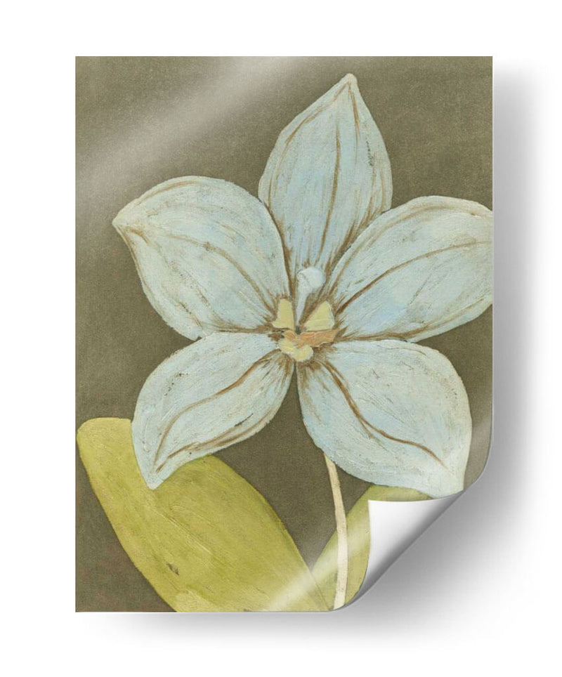 Orquídea Y Tierra Ii - Megan Meagher | Cuadro decorativo de Canvas Lab