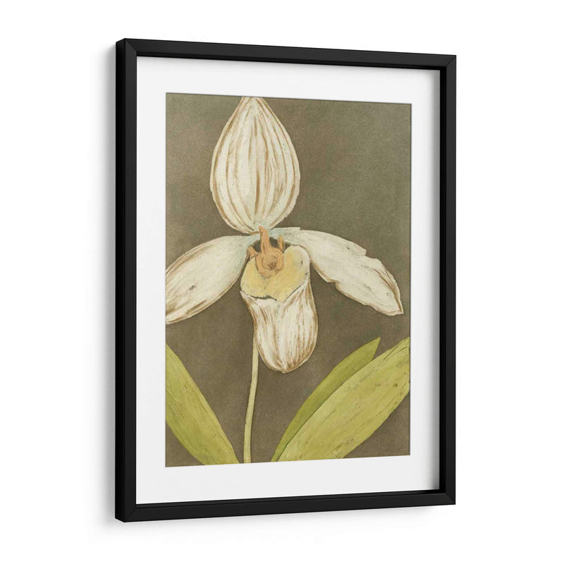 Orquídea Y Tierra Iii - Megan Meagher | Cuadro decorativo de Canvas Lab