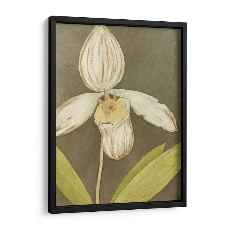 Orquídea Y Tierra Iii - Megan Meagher | Cuadro decorativo de Canvas Lab