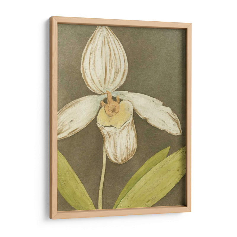 Orquídea Y Tierra Iii - Megan Meagher | Cuadro decorativo de Canvas Lab