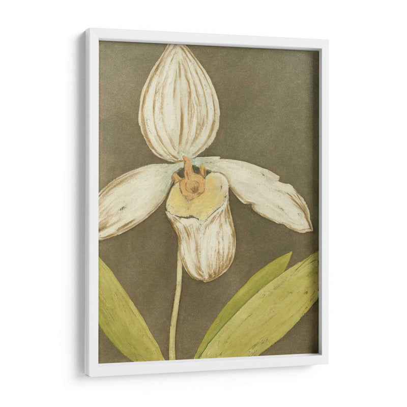 Orquídea Y Tierra Iii - Megan Meagher | Cuadro decorativo de Canvas Lab