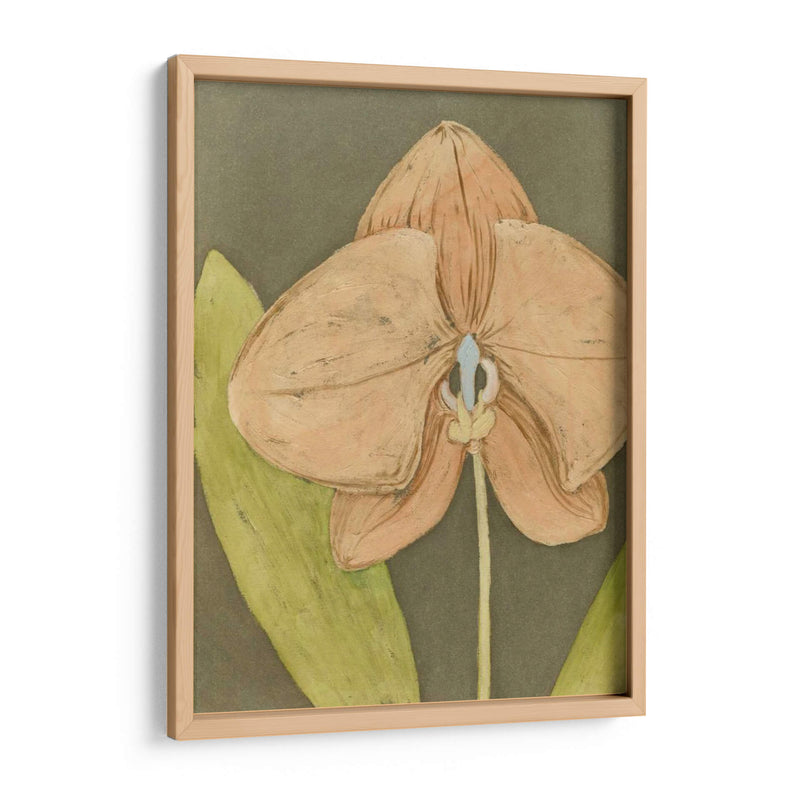 Orquídea Y Tierra Iv - Megan Meagher | Cuadro decorativo de Canvas Lab