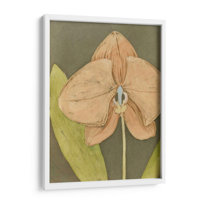 Orquídea Y Tierra Iv - Megan Meagher | Cuadro decorativo de Canvas Lab