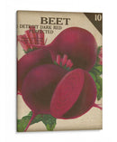 Variedad De Heirloom Iii - Jarman Fagalde | Cuadro decorativo de Canvas Lab