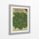 Variedad Heirloom Vi - Jarman Fagalde | Cuadro decorativo de Canvas Lab