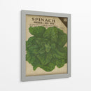 Variedad Heirloom Vi - Jarman Fagalde | Cuadro decorativo de Canvas Lab