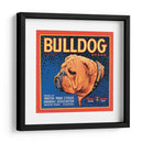 Perro Bull - Vision Studio | Cuadro decorativo de Canvas Lab