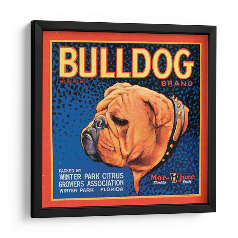 Perro Bull - Vision Studio | Cuadro decorativo de Canvas Lab