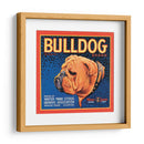 Perro Bull - Vision Studio | Cuadro decorativo de Canvas Lab