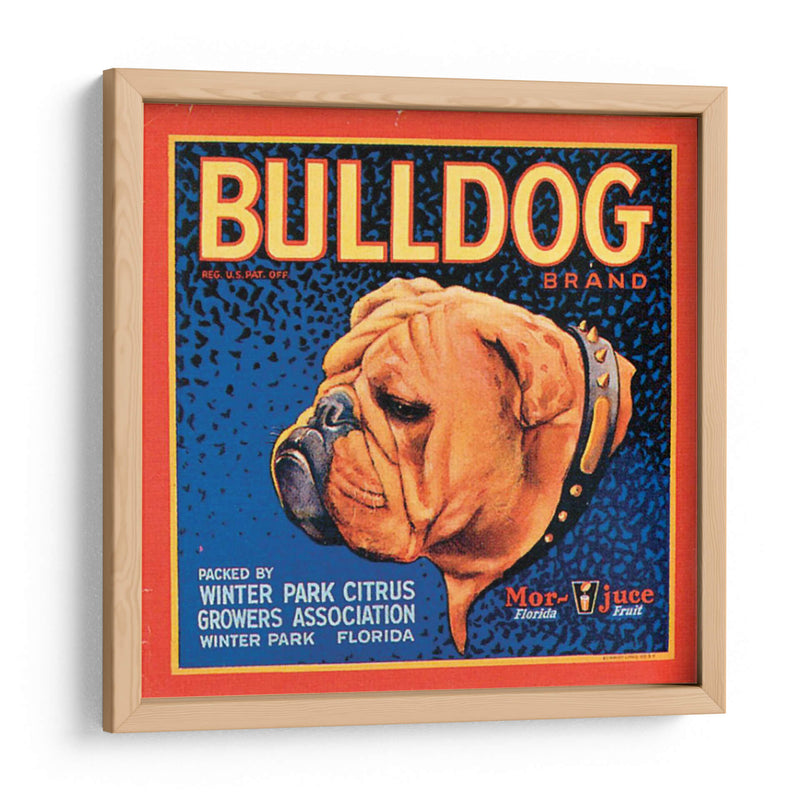 Perro Bull - Vision Studio | Cuadro decorativo de Canvas Lab