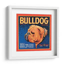 Perro Bull - Vision Studio | Cuadro decorativo de Canvas Lab