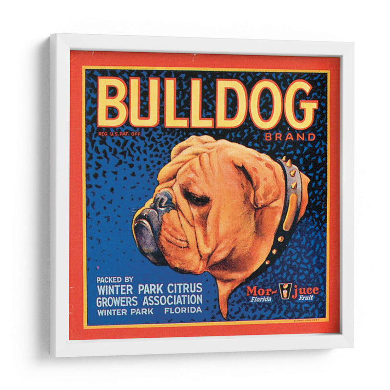 Perro Bull - Vision Studio | Cuadro decorativo de Canvas Lab