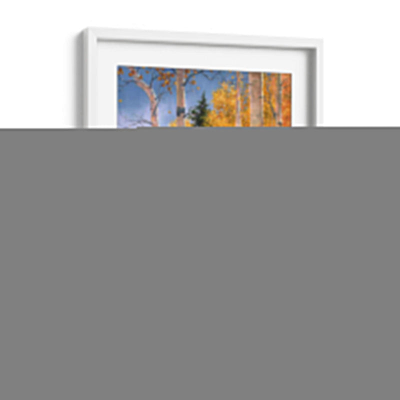 Cuando Todo Lo Que Brilla - Jack Sorenson | Cuadro decorativo de Canvas Lab