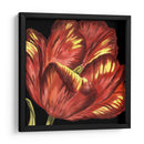 Mini Tulipán Transicional I - Vision Studio | Cuadro decorativo de Canvas Lab