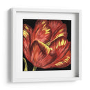 Mini Tulipán Transicional I - Vision Studio | Cuadro decorativo de Canvas Lab