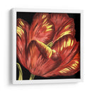 Mini Tulipán Transicional I - Vision Studio | Cuadro decorativo de Canvas Lab