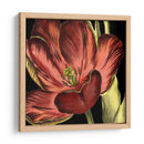 Mini Tulipán Transicional Iii - Vision Studio | Cuadro decorativo de Canvas Lab