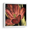 Mini Tulipán Transicional Iii - Vision Studio | Cuadro decorativo de Canvas Lab