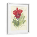 Elissas Garden I - Elissa Della-Piana | Cuadro decorativo de Canvas Lab