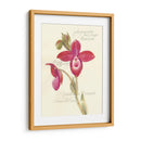 Elissas Garden Ii - Elissa Della-Piana | Cuadro decorativo de Canvas Lab