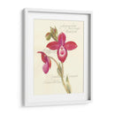 Elissas Garden Ii - Elissa Della-Piana | Cuadro decorativo de Canvas Lab