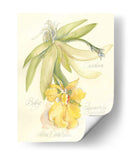 Elissas Garden Iii - Elissa Della-Piana | Cuadro decorativo de Canvas Lab