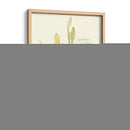 Elissas Garden Iv - Elissa Della-Piana | Cuadro decorativo de Canvas Lab