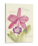 Elissas Garden V - Elissa Della-Piana | Cuadro decorativo de Canvas Lab