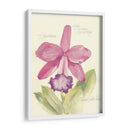 Elissas Garden V - Elissa Della-Piana | Cuadro decorativo de Canvas Lab