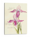 Elissas Garden Vi - Elissa Della-Piana | Cuadro decorativo de Canvas Lab