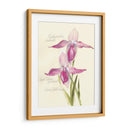 Elissas Garden Vi - Elissa Della-Piana | Cuadro decorativo de Canvas Lab