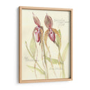 Elissas Garden Viii - Elissa Della-Piana | Cuadro decorativo de Canvas Lab