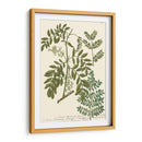 Weinmann Deja I - Weinmann | Cuadro decorativo de Canvas Lab