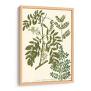 Weinmann Deja I - Weinmann | Cuadro decorativo de Canvas Lab