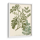 Weinmann Deja I - Weinmann | Cuadro decorativo de Canvas Lab