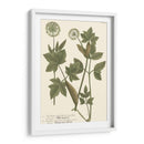 Weinmann Se Va A Iv - Weinmann | Cuadro decorativo de Canvas Lab