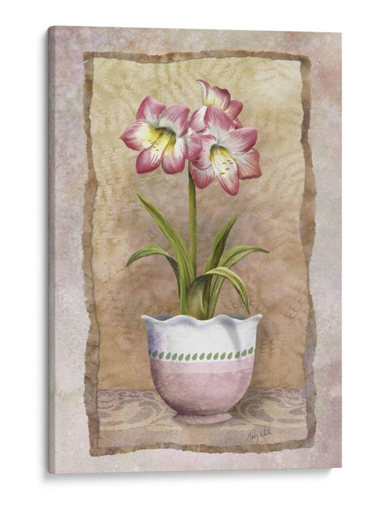 Amaryllis De Primavera - Abby White | Cuadro decorativo de Canvas Lab