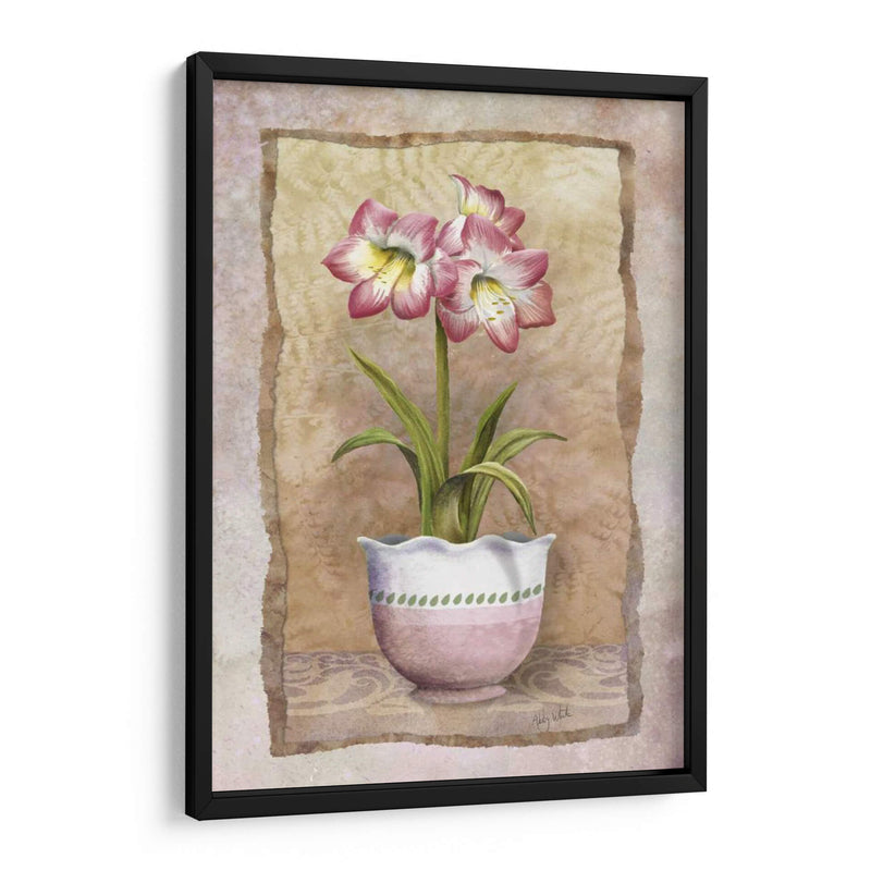 Amaryllis De Primavera - Abby White | Cuadro decorativo de Canvas Lab