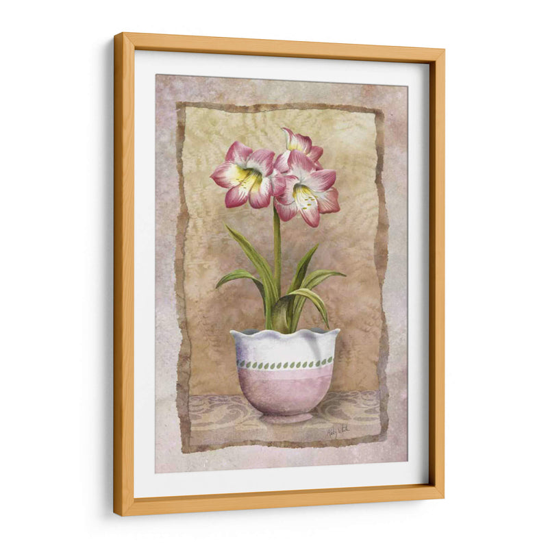 Amaryllis De Primavera - Abby White | Cuadro decorativo de Canvas Lab