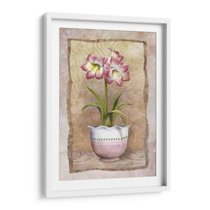 Amaryllis De Primavera - Abby White | Cuadro decorativo de Canvas Lab