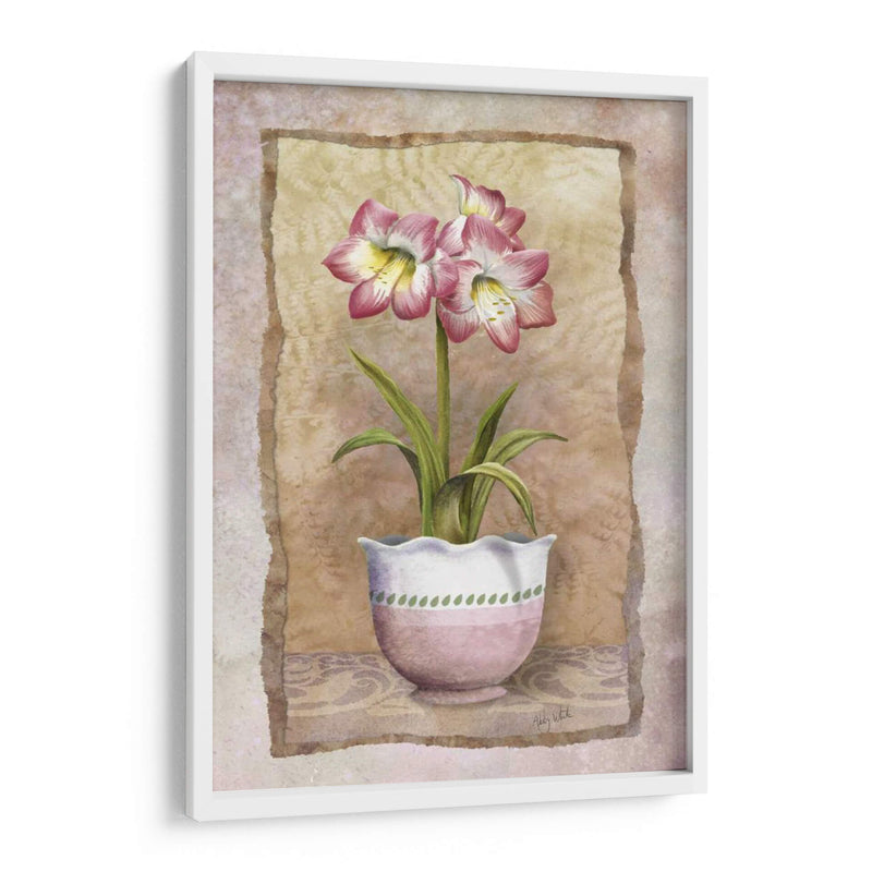 Amaryllis De Primavera - Abby White | Cuadro decorativo de Canvas Lab