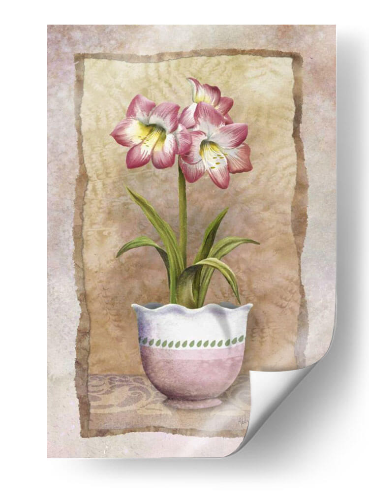 Amaryllis De Primavera - Abby White | Cuadro decorativo de Canvas Lab