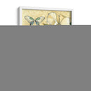 Pequeño Hibiscus Medley I - Jennifer Goldberger | Cuadro decorativo de Canvas Lab