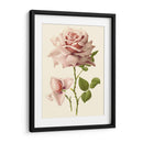 Victorian Rose I - R. Guillot | Cuadro decorativo de Canvas Lab