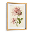 Victorian Rose I - R. Guillot | Cuadro decorativo de Canvas Lab