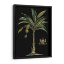 Palma Y Cresta En Negro I - Vision Studio | Cuadro decorativo de Canvas Lab